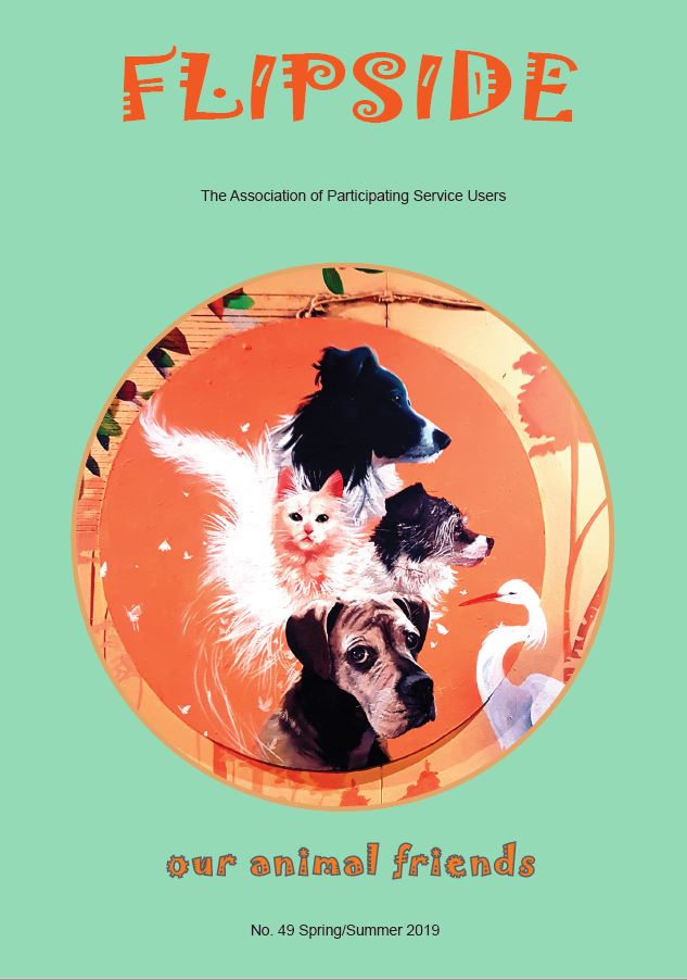 Issue 49 - Pets